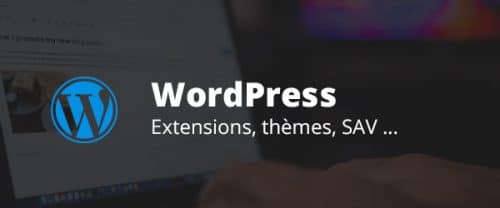 création extensions wordpress